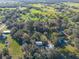 Aerial view of homes nestled in a wooded area, with a pool visible near one of the houses at 11008 Browning Rd, Lithia, FL 33547