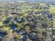 Aerial view showcasing a large property with multiple houses surrounded by trees and open fields at 11008 Browning Rd, Lithia, FL 33547