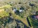 Aerial view of property showing house, fire pit, and trees at 11008 Browning Rd, Lithia, FL 33547