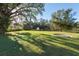 Spacious backyard with fire pit and mature trees at 11008 Browning Rd, Lithia, FL 33547