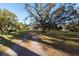 Long driveway leading to a house with large oak trees at 11008 Browning Rd, Lithia, FL 33547
