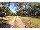 Gravel driveway lined with mature oak trees at 11008 Browning Rd, Lithia, FL 33547