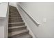 Carpeted staircase with simple handrail at 18843 Ulmus St, Lutz, FL 33558