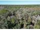 Wide shot of land with lush vegetation at 39716 Tworut Rd, Webster, FL 33597