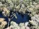 An aerial shot of a tranquil waterway surrounded by trees at 39716 Tworut Rd, Webster, FL 33597