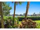 Landscaped backyard with lush tropical foliage and water views at 808 Monterey Ne Blvd, St Petersburg, FL 33704