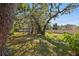 Large backyard with mature trees and stone pathways at 1530 22Nd S Ave, St Petersburg, FL 33705