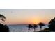 Experience stunning sunset views over the bay, highlighted by swaying palms and serene waters at 2617 Cove Cay Dr # 505, Clearwater, FL 33760