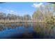 Calm water reflecting trees under blue sky at 21015 4Th St, Land O Lakes, FL 34638