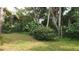 Backyard with lush greenery and a clothesline at 11523 Forest Hills Dr, Tampa, FL 33612