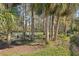 Tranquil backyard pond surrounded by lush vegetation at 4732 Wolfram Ln, New Port Richey, FL 34653