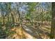 Path through wooded area leading to home at 15577 Little Ranch Rd, Spring Hill, FL 34610