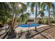 Kidney-shaped swimming pool surrounded by palm trees in the backyard at 3044 Golden Rain Dr, Sarasota, FL 34232