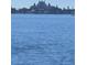 Expansive water view with distant buildings visible on the horizon at 6020 Shore S Blvd # 301, Gulfport, FL 33707