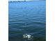 Stunning view of the water at 6020 Shore S Blvd # 301, Gulfport, FL 33707