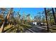 View of the house nestled in the trees, featuring a long driveway and a storage building at 6906 Quail Hollow Blvd, Wesley Chapel, FL 33544