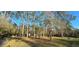 View of the lot includes driveway, mature trees, and a glimpse of the home at 6906 Quail Hollow Blvd, Wesley Chapel, FL 33544