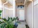 Covered entryway with a white door, arched window, and lush tropical plants at 1016 Standing Reed Pl, Wesley Chapel, FL 33543