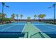 Two well-maintained pickleball courts at 5022 Gardenbrooke Cv, Palmetto, FL 34221