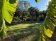 Vacant lot with grassy area, mature trees, and a tranquil setting at 7106 Riverwood Blvd, Tampa, FL 33615