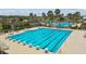 Olympic-sized lap pool with diving blocks and seating at 8144 Sequester Loop, Land O Lakes, FL 34637