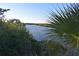 Tranquil waterfront lot with lush vegetation and calm waters at 7028 Southwind Dr, Hudson, FL 34667