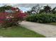 Landscaped front yard with vibrant bougainvillea and a long driveway at 7108 Riverwood Blvd, Tampa, FL 33615