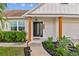 Inviting front entrance with modern door and decorative landscaping at 8718 Hickorywood Ln, Tampa, FL 33615