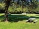 Peaceful community lot with a picnic table under a large tree at 915 Rolling Hills Dr, Palm Harbor, FL 34683