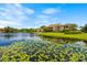 Community lakefront view with lush landscaping and water lilies at 10263 Gandy N Blvd # 202, St Petersburg, FL 33702