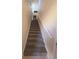 Carpeted staircase leading to the upper floor at 10426 Villa View Cir # 10426, Tampa, FL 33647