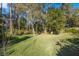 Spacious backyard with lush landscaping and mature trees at 16124 Vanderbilt Dr, Odessa, FL 33556