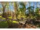 Charming wooden footbridge leading through a wooded area at 16124 Vanderbilt Dr, Odessa, FL 33556