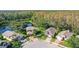 Aerial view of homes and community, showcasing a desirable neighborhood with lush landscaping and a pond at 276 Timberland Ct, Oldsmar, FL 34677