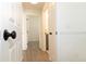 Hallway with white doors and trim leading to various rooms in the home, featuring wood floors at 14324 Moon Flower Dr, Tampa, FL 33626