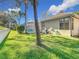 Spacious backyard with lush lawn and mature trees at 17853 Green Willow Dr, Tampa, FL 33647