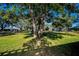 The shade of a large tree makes for a great lawn area with a swing set and play area at 2640 Westchester N Dr, Clearwater, FL 33761
