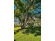 A mature tree in a backyard, with a playset and a swing for Gathering enjoyment at 2640 Westchester N Dr, Clearwater, FL 33761