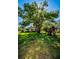 Spacious backyard with large shade tree, playset, and grassy area at 2640 Westchester N Dr, Clearwater, FL 33761