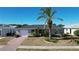 Single-story home with gray exterior, palm tree, and brick walkway at 1029 Fuchsia Dr, Holiday, FL 34691