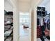 and walk-in closets with ample hanging and shelving space at 11409 Drifting Leaf Dr, Riverview, FL 33579