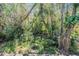 An overgrown, densely vegetated backyard at 12306 Woodlands Cir, Dade City, FL 33525