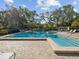 Community pool with spacious deck and plenty of lounge chairs at 1901 Lennox E Rd # 1901, Palm Harbor, FL 34683