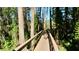 Nature boardwalk path through lush greenery at 20853 Haulover Cv # A8, Lutz, FL 33558