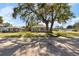 House exterior showcasing a renovated home with a front yard under a large, shady tree at 2490 16Th S Ave, St Petersburg, FL 33712