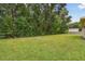 Spacious backyard with lush greenery and a large grassy area at 3116 Gulfwind Dr, Land O Lakes, FL 34639