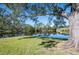 Peaceful lake view with a large tree providing shade at 3194 Meadow View Ln, Palm Harbor, FL 34683