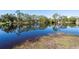 Serene lake view with lush vegetation and clear reflections at 3194 Meadow View Ln, Palm Harbor, FL 34683