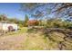 Partially grassy backyard with mature trees and shed at 775 Pennsylvania Ave, Palm Harbor, FL 34683