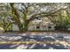 One-story home with mature landscaping and a large tree in front at 775 Pennsylvania Ave, Palm Harbor, FL 34683